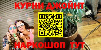 индика Бузулук
