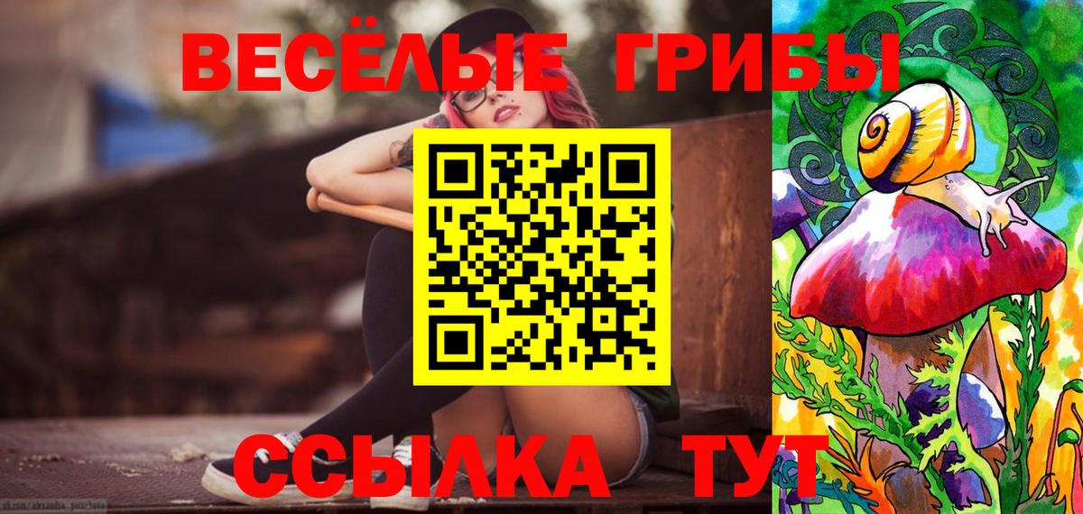 даркнет сайт  Галлюциногенные грибы MAGIC MUSHROOMS  Можга  Вход с VPN  Галлюциногенные грибы мицелий 